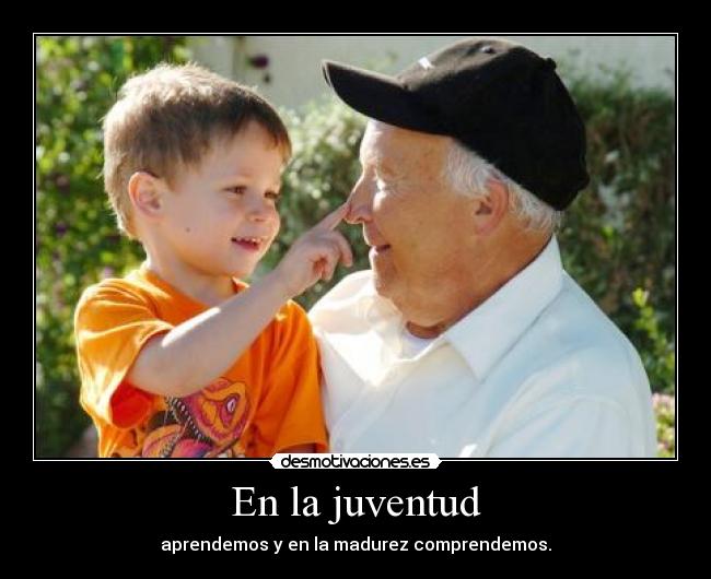 En la juventud - aprendemos y en la madurez comprendemos.