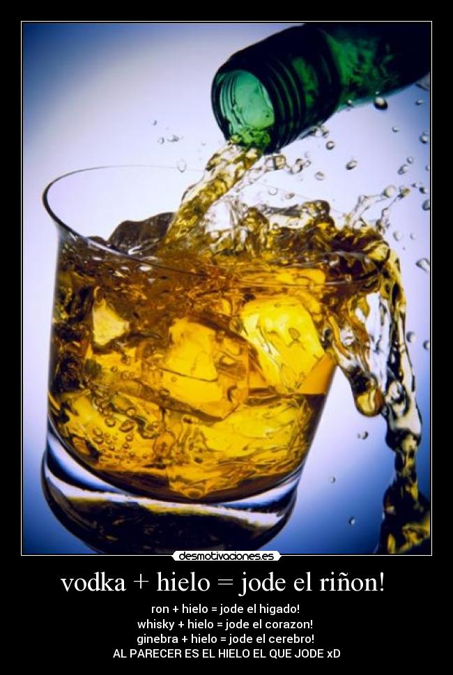 carteles hielo alcohol desmotivaciones