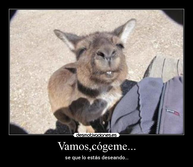 Vamos,cógeme... -