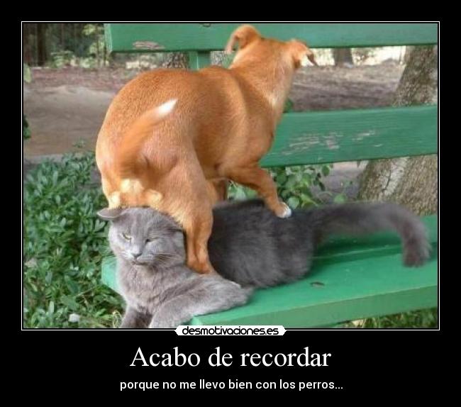 Acabo de recordar - 