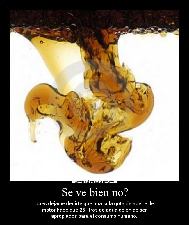 Se ve bien no? - 