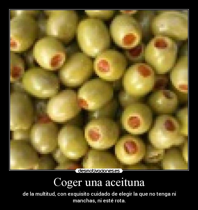 Coger una aceituna - de la multitud, con exquisito cuidado de elegir la que no tenga ni manchas, ni esté rota.