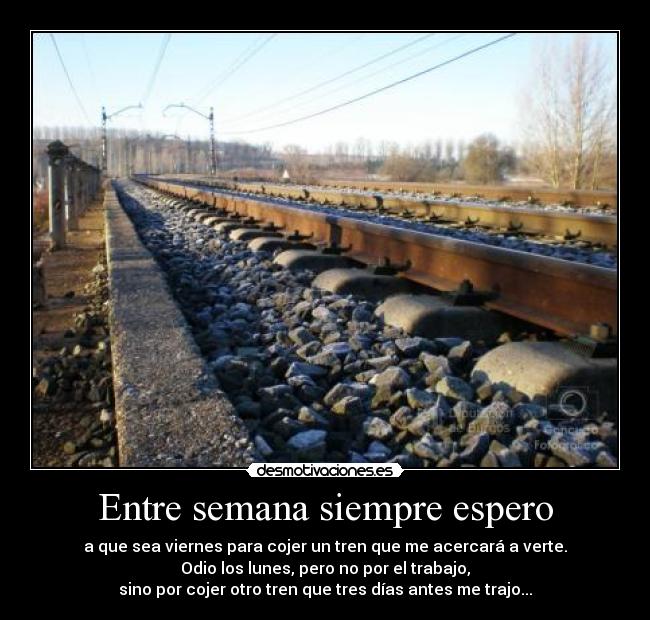 Entre semana siempre espero -