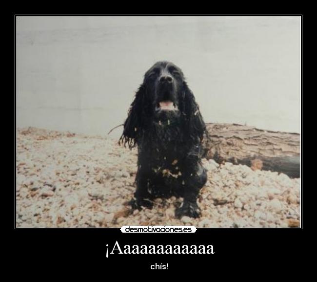 ¡Aaaaaaaaaaaa - chís!