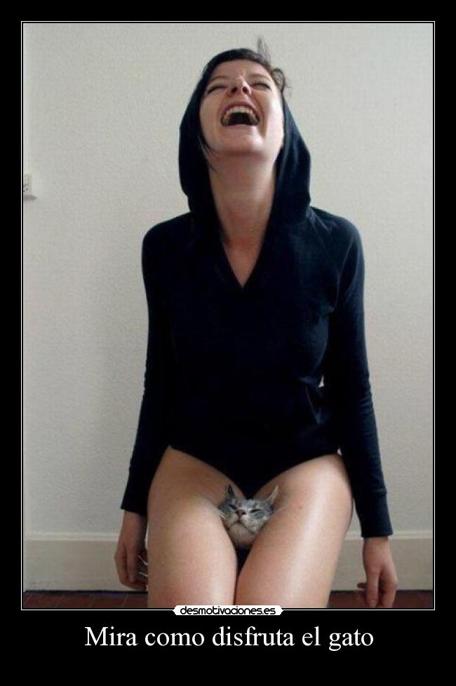 Mira como disfruta el gato -
