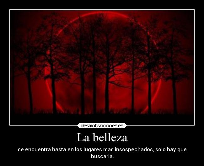 carteles belleza buscar lugar desmotivaciones