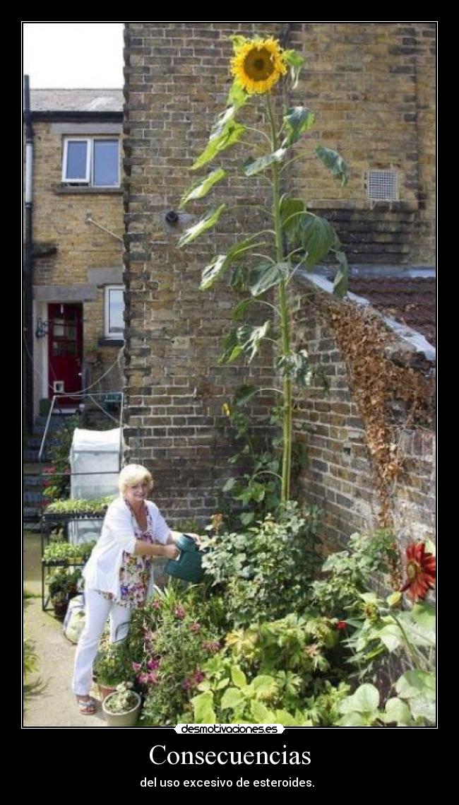 Consecuencias - del uso excesivo de esteroides.  