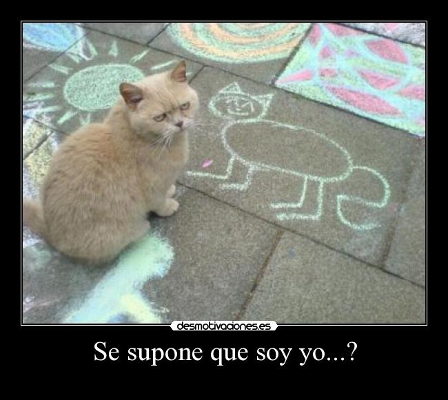 carteles gatosse supone que soy desmotivaciones