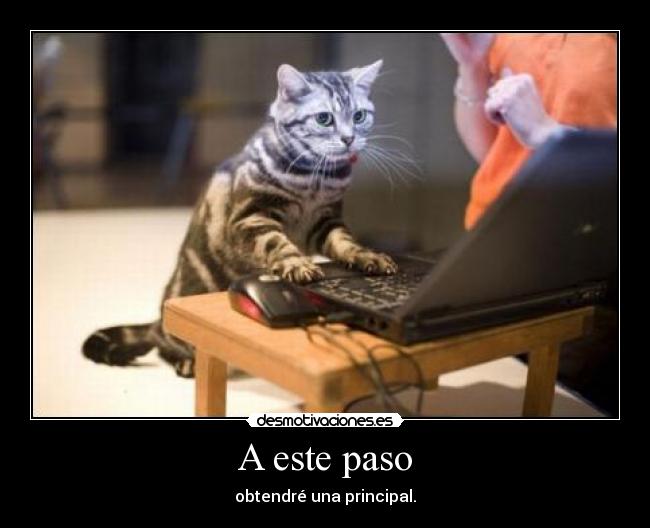 A este paso - obtendré una principal.