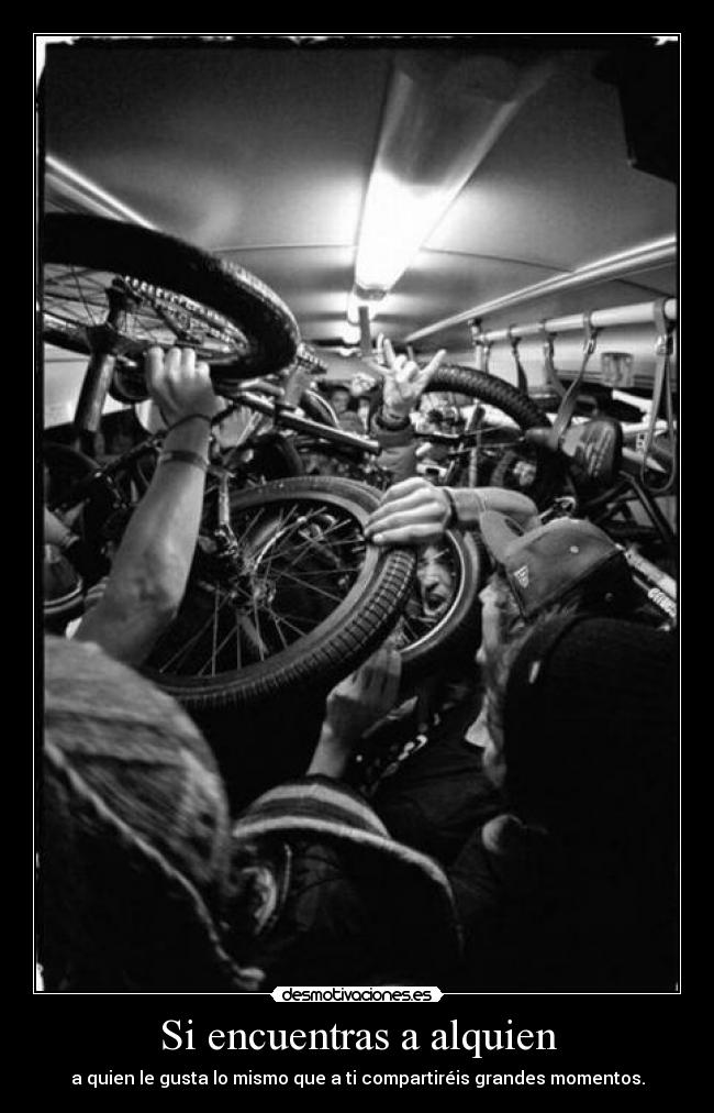 Si encuentras a alquien - 