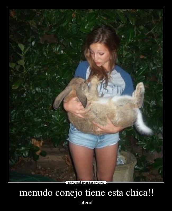 menudo conejo tiene esta chica!! - Literal.
