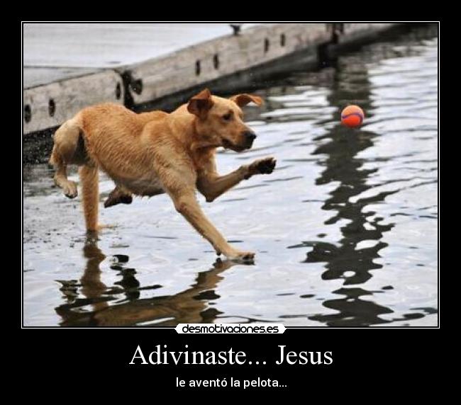 Adivinaste... Jesus - le aventó la pelota...