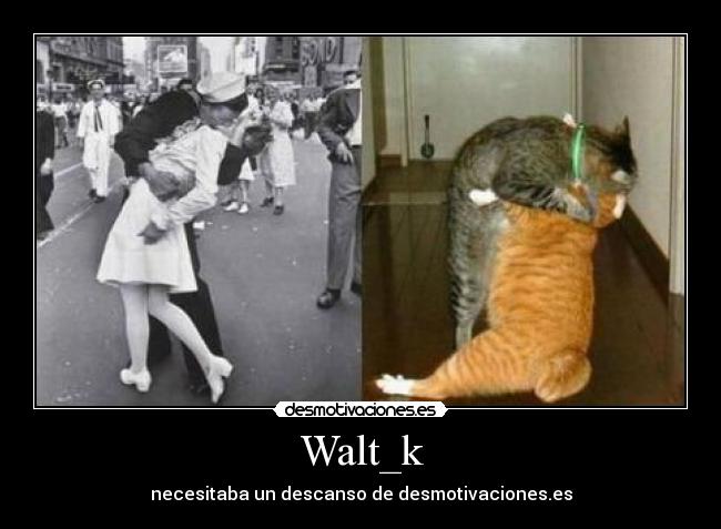 Walt_k - 