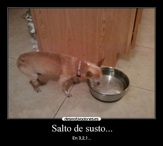 Salto de susto... - En 3,2,1...