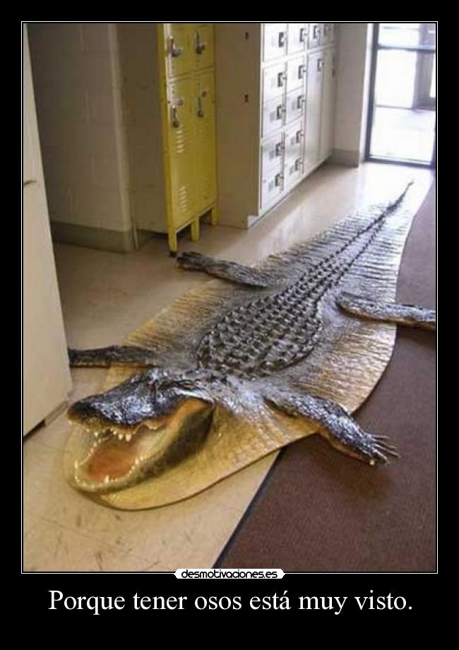 Porque tener osos está muy visto. -