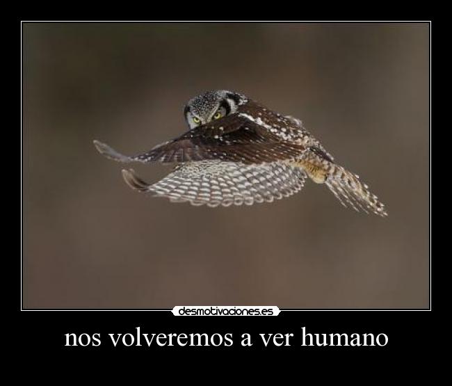 nos volveremos a ver humano -