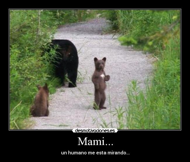 Mami... -