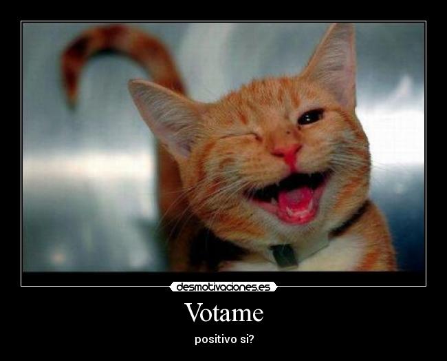 Votame - positivo si?