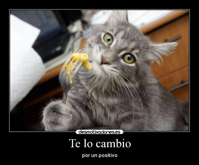 Te lo cambio -