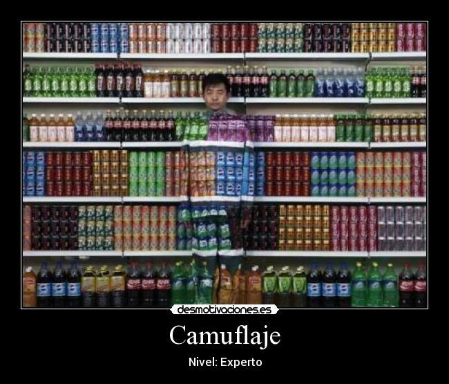 Camuflaje - Nivel: Experto