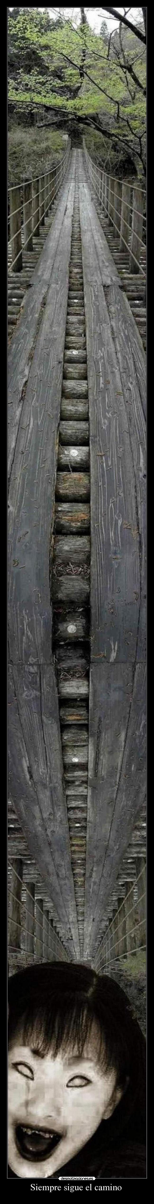 Siempre sigue el camino -