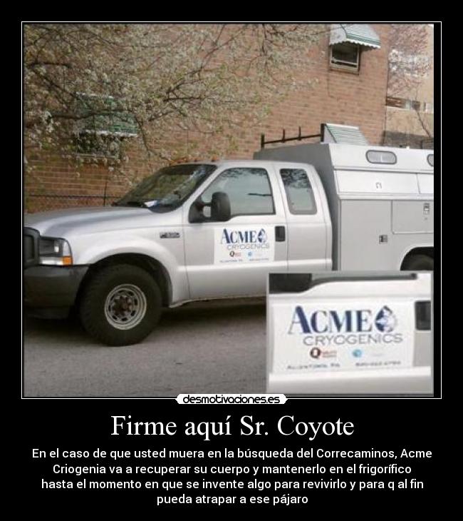 Firme aquí Sr. Coyote -