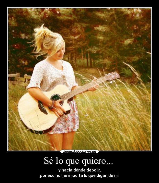 carteles se que quiero desmotivaciones