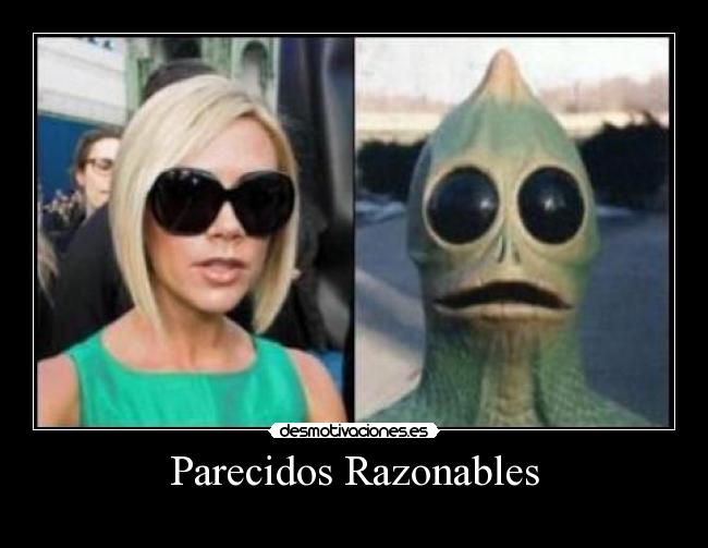 Parecidos Razonables -
