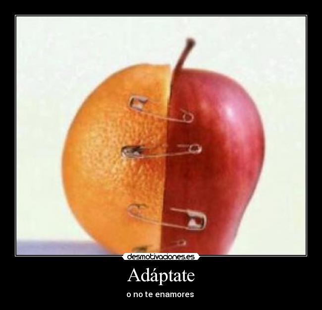 Adáptate - 