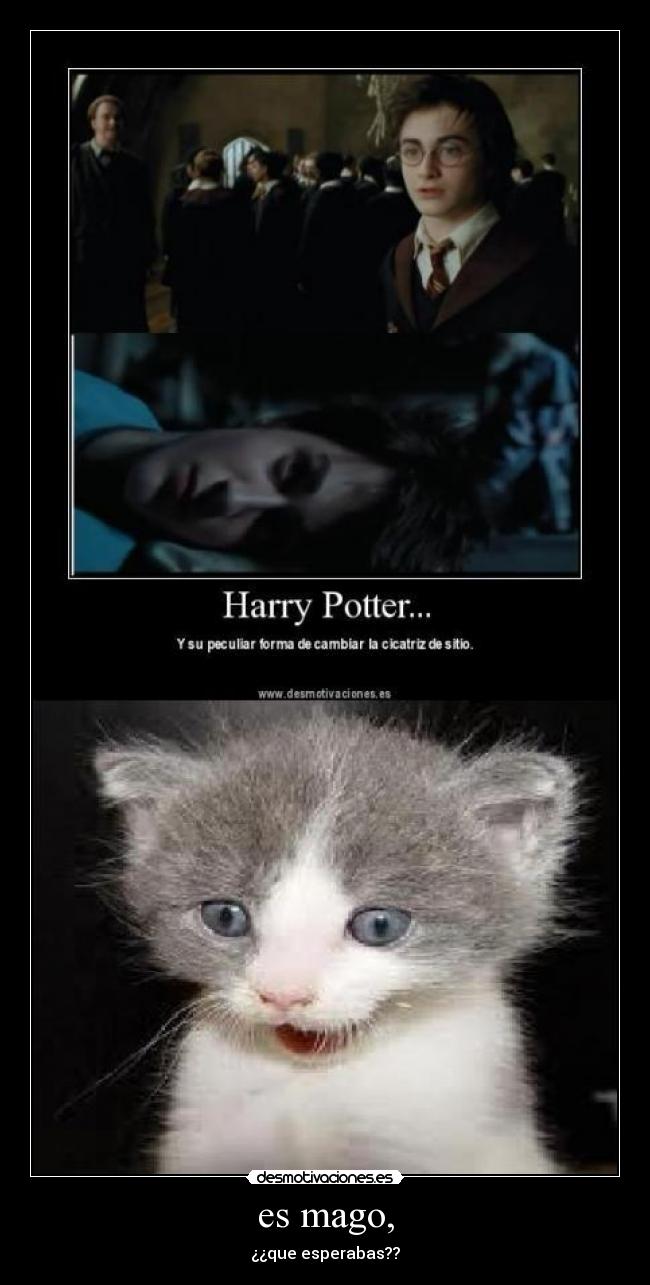 es mago, - ¿¿que esperabas??