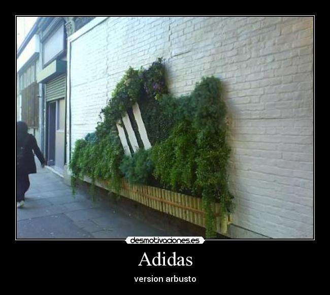 Adidas -