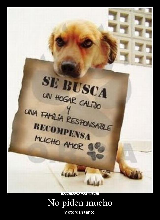 No piden mucho - 