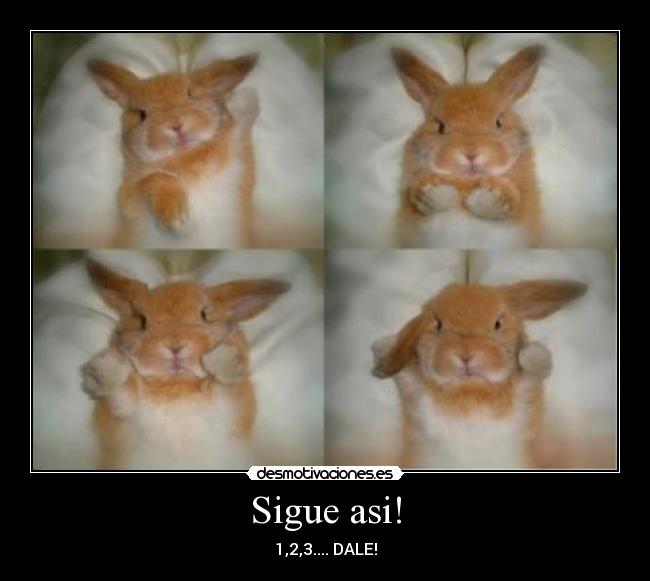 Sigue asi! -
