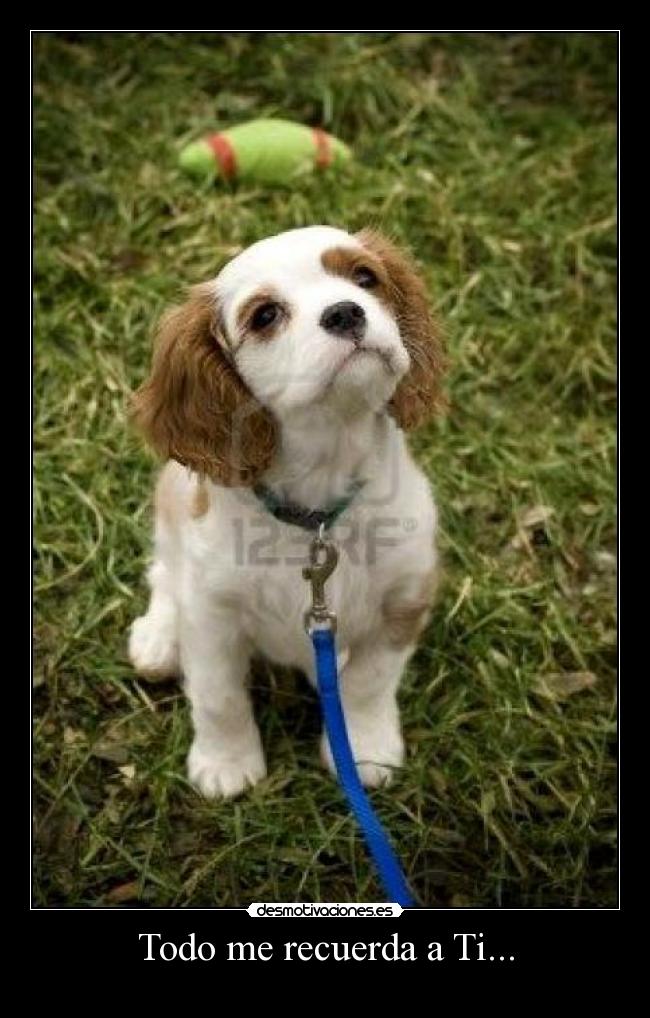 carteles todo desmotivaciones