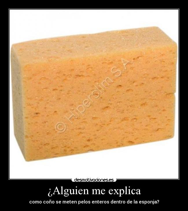 ¿Alguien me explica - como coño se meten pelos enteros dentro de la esponja?