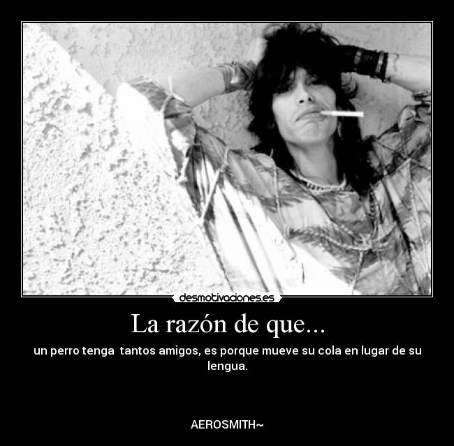 La razón de que... - un perro tenga  tantos amigos, es porque mueve su cola en lugar de su lengua.



AEROSMITH~