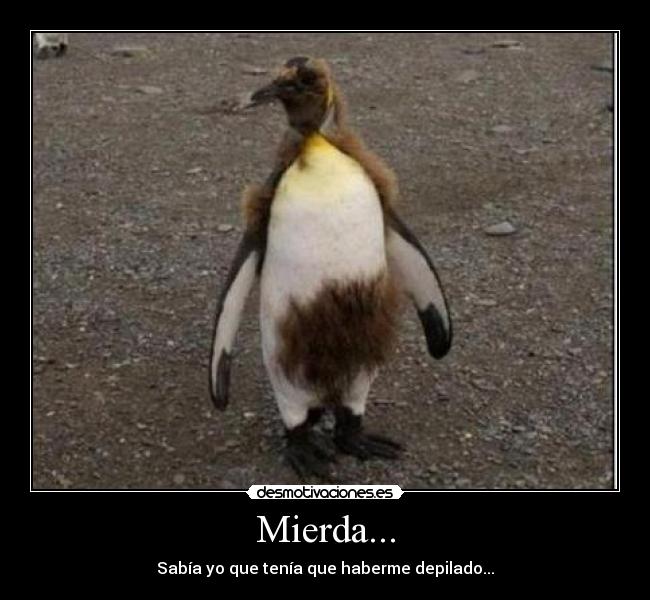 Mierda... - Sabía yo que tenía que haberme depilado...