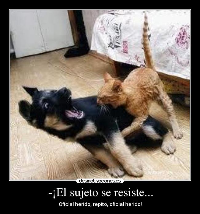 -¡El sujeto se resiste... -