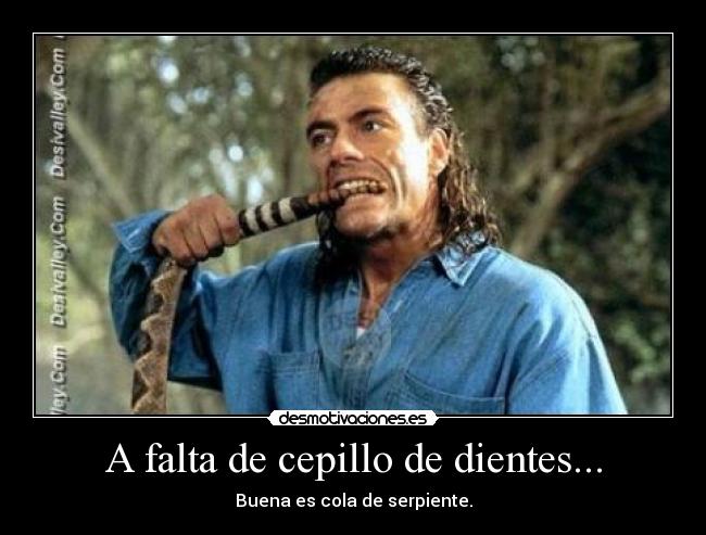 A falta de cepillo de dientes... - 