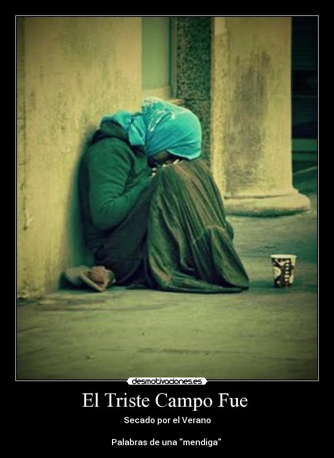 carteles palabras mendiga ella cosa gato campo triste vida verano desmotivaciones