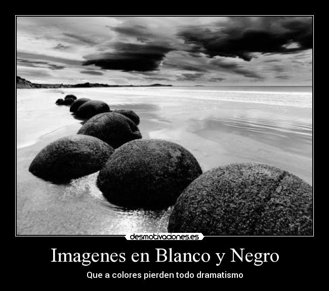 Imagenes en Blanco y Negro -