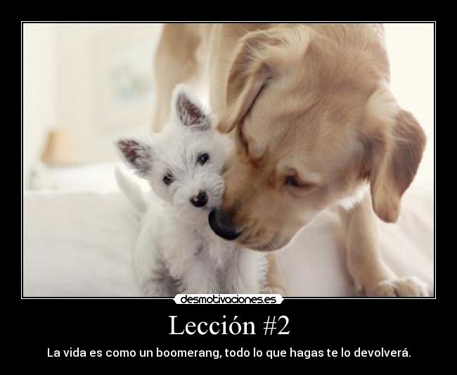 Lección #2 -