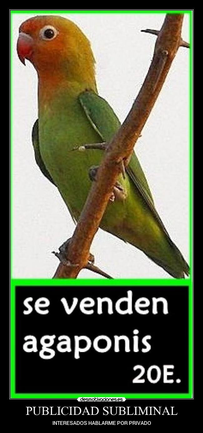 PUBLICIDAD SUBLIMINAL - 