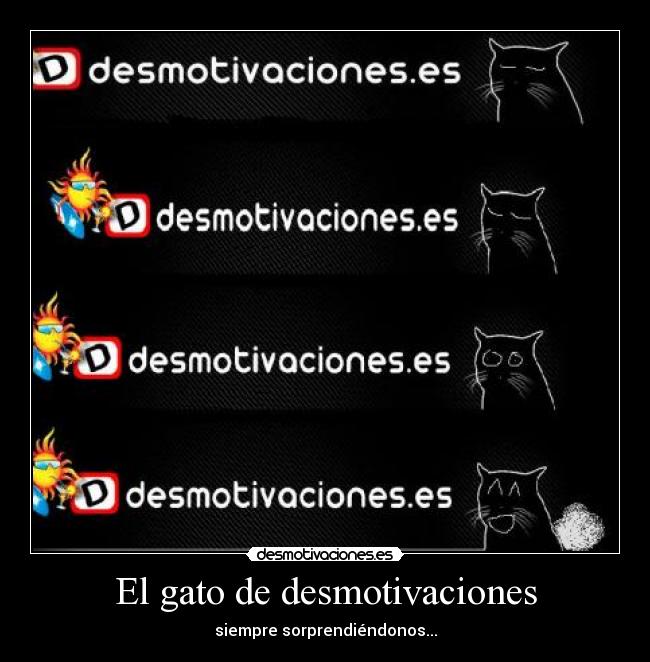 El gato de desmotivaciones - 