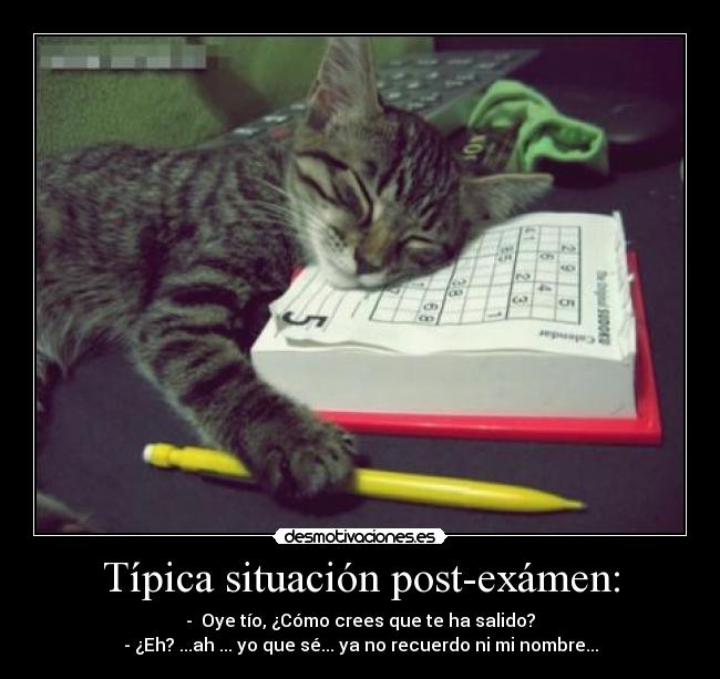 Típica situación post-exámen: - -  Oye tío, ¿Cómo crees que te ha salido?
- ¿Eh? ...ah ... yo que sé... ya no recuerdo ni mi nombre...