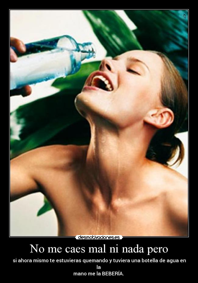 No me caes mal ni nada pero - si ahora mismo te estuvieras quemando y tuviera una botella de agua en la
mano me la BEBERÍA.