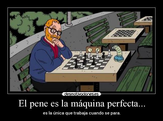 El pene es la máquina perfecta... - 