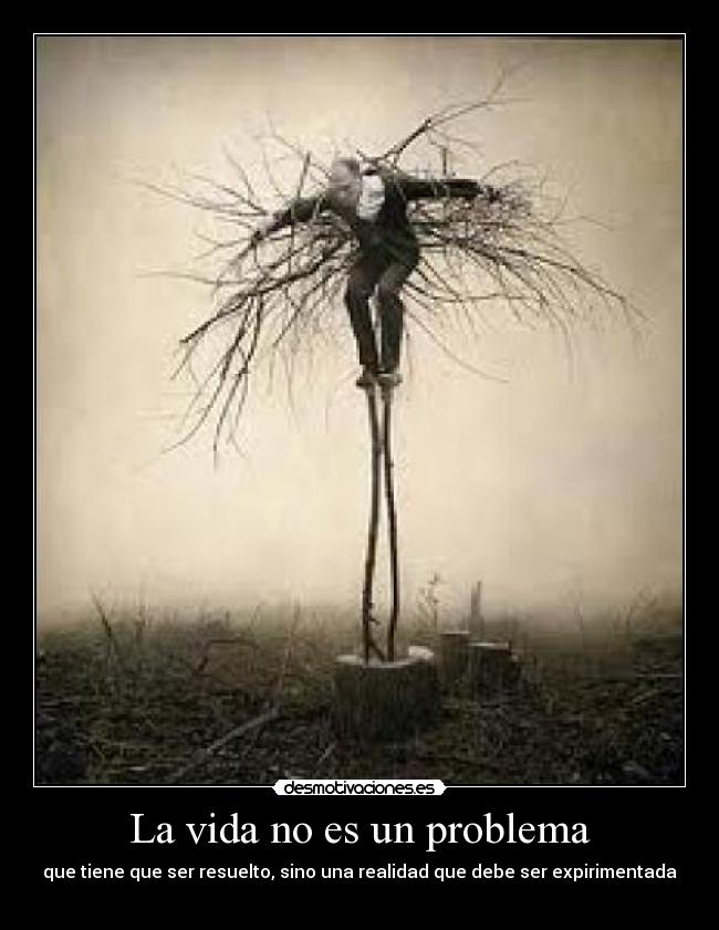 La vida no es un problema -