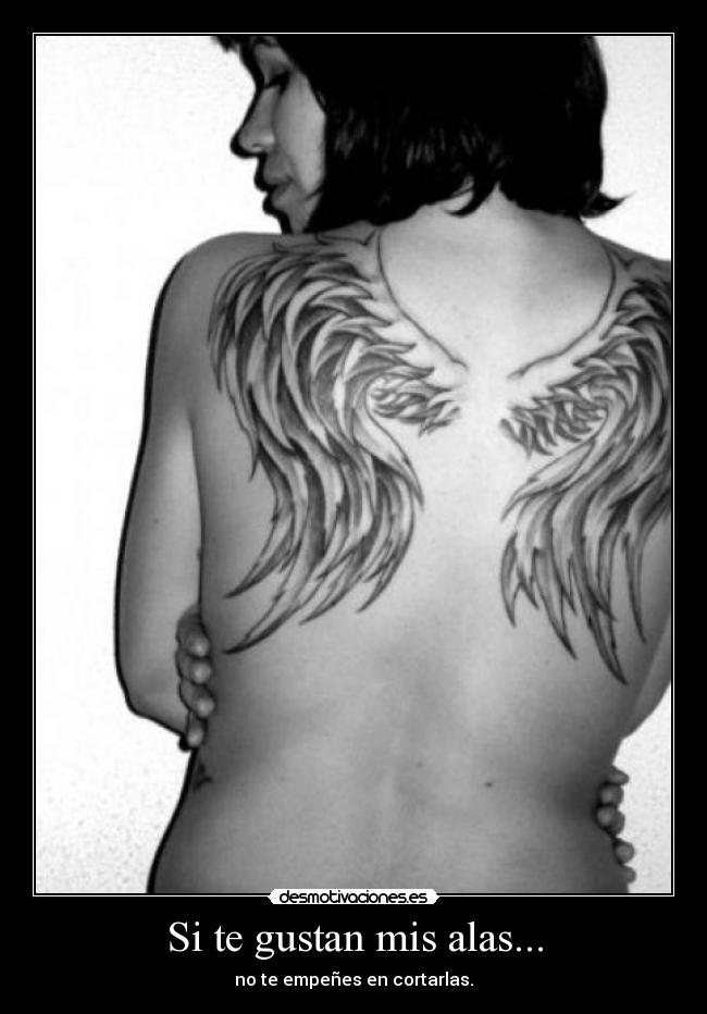 Si te gustan mis alas... - 