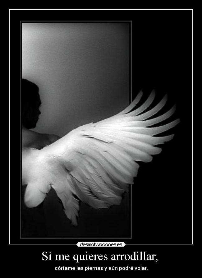 Si me quieres arrodillar,  - 